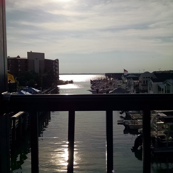 Meet your Posher, Lori - Picture 1 of 1